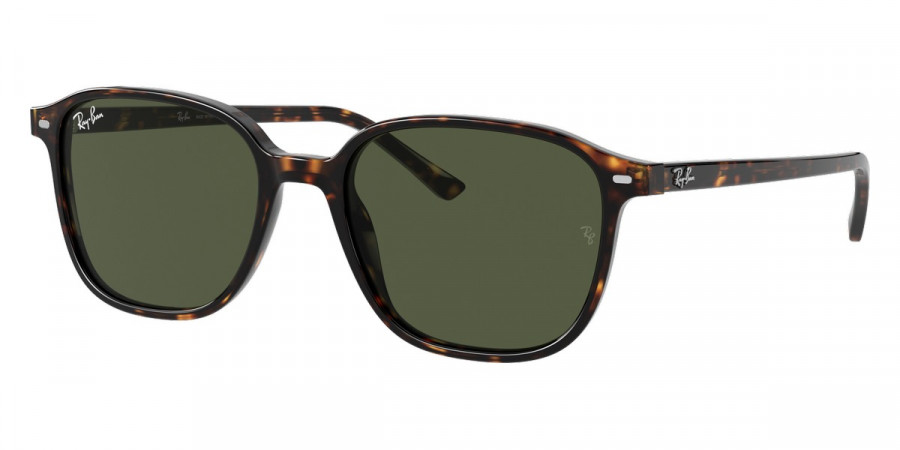 Ray-Ban™ - Leonard RB2193F