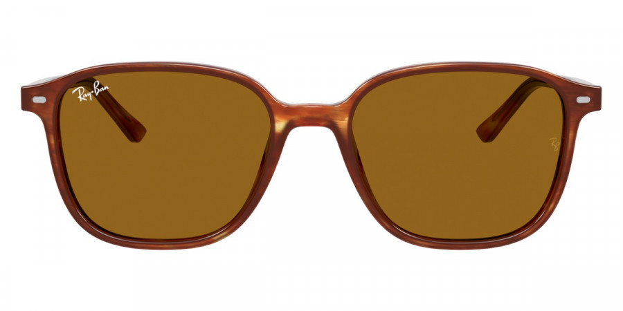 Ray-Ban™ - Leonard RB2193F