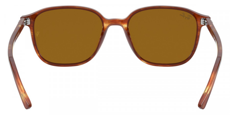 Ray-Ban™ - Leonard RB2193F