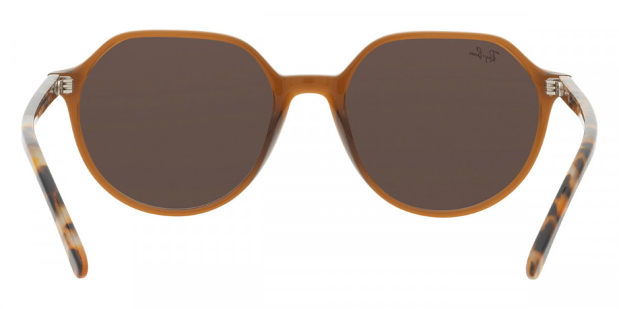 Color: Transparent Brown (663693) - Ray-Ban RB219566369351