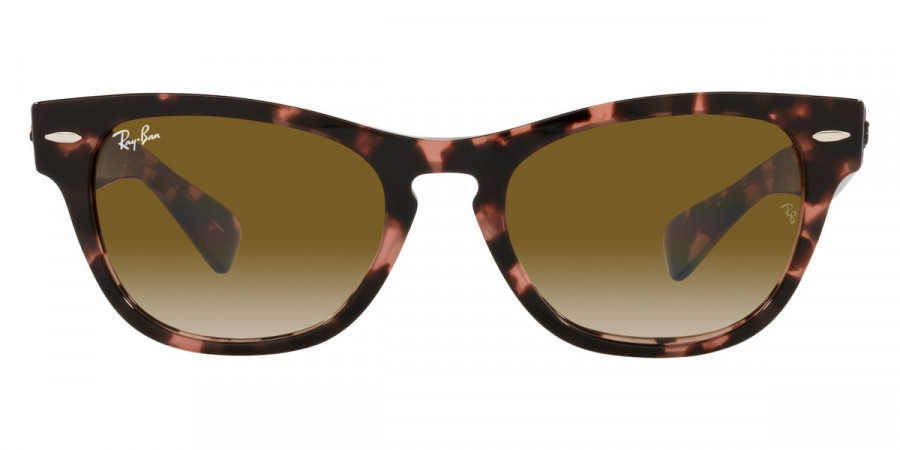 Ray-Ban™ - Laramie RB2201