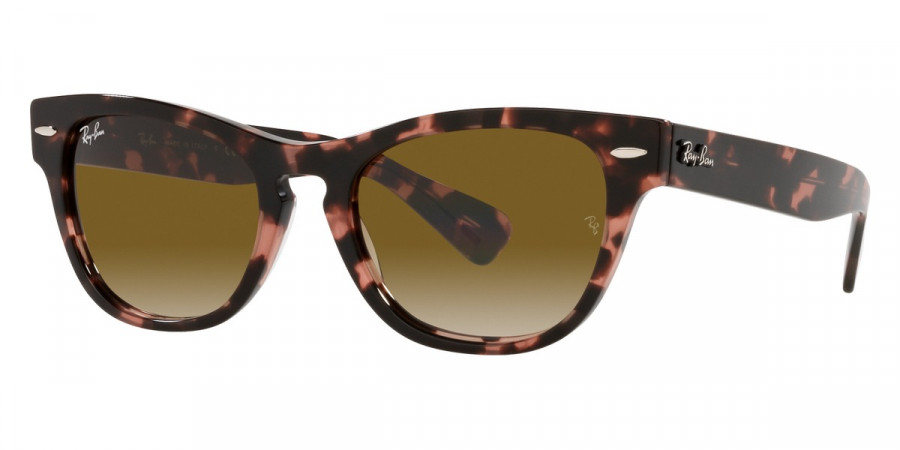 Ray-Ban™ - Laramie RB2201