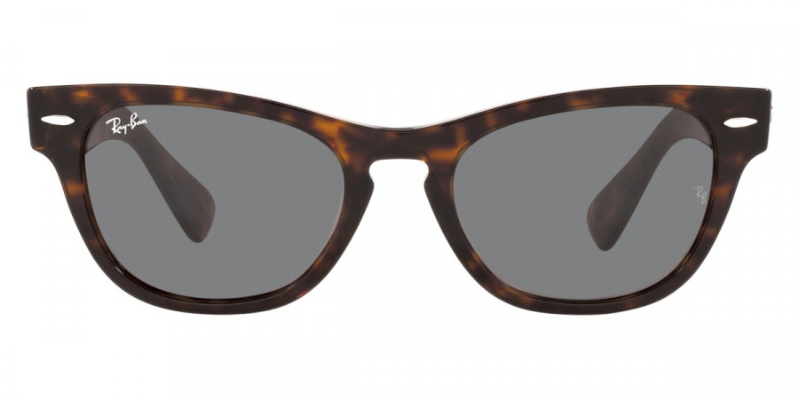 Ray-Ban™ - Laramie RB2201