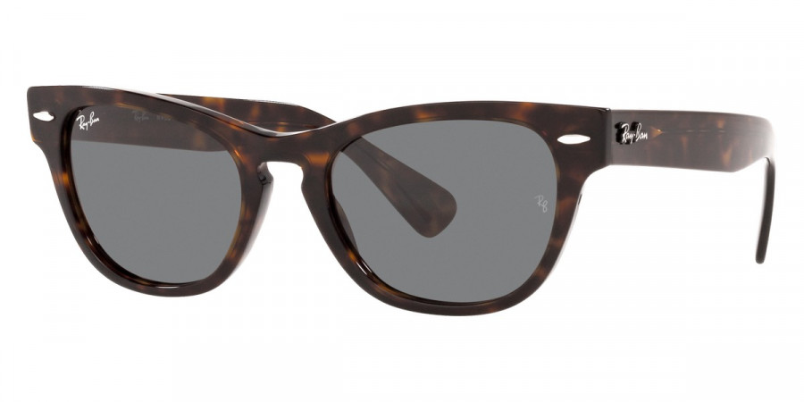 Ray-Ban™ - Laramie RB2201