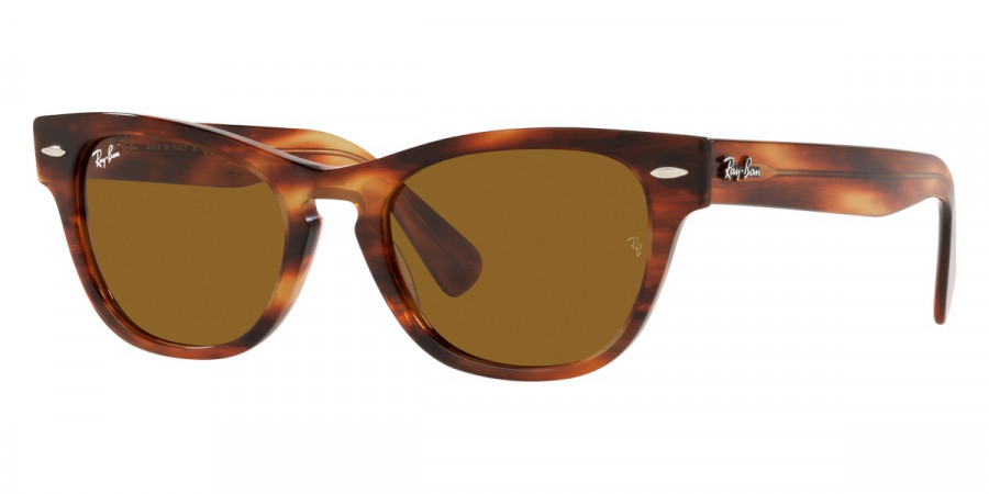 Ray-Ban™ - Laramie RB2201