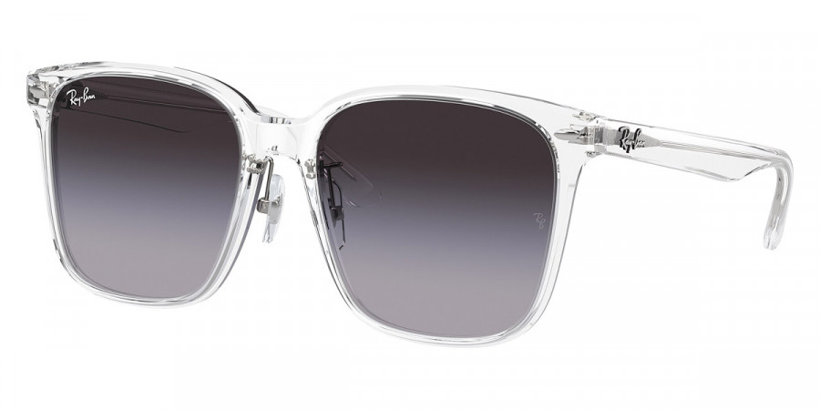 Ray-Ban™ - RB2206D