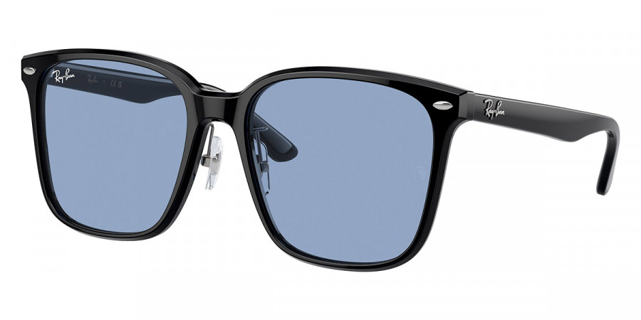 Ray-Ban™ - RB2206D