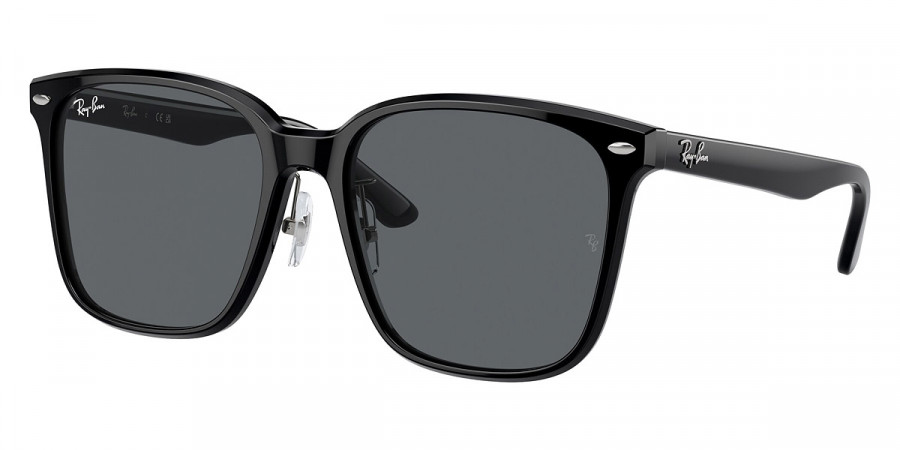 Ray-Ban™ - RB2206D