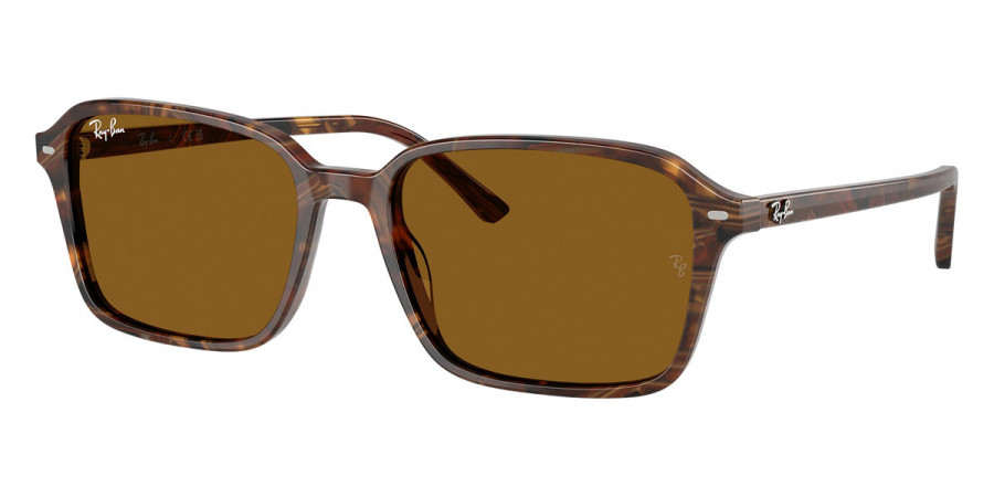 Ray-Ban™ - Raimond RB2231