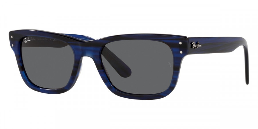 Ray-Ban™ - Mr Burbank RB2283