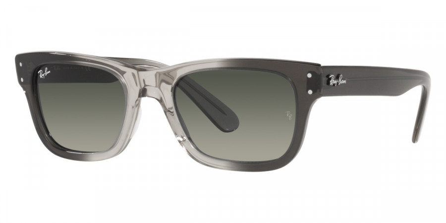 Ray-Ban™ - Mr Burbank RB2283