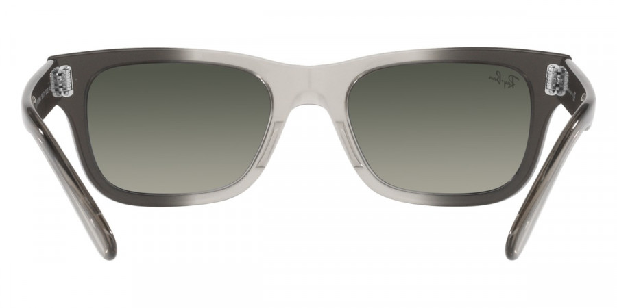 Ray-Ban™ - Mr Burbank RB2283