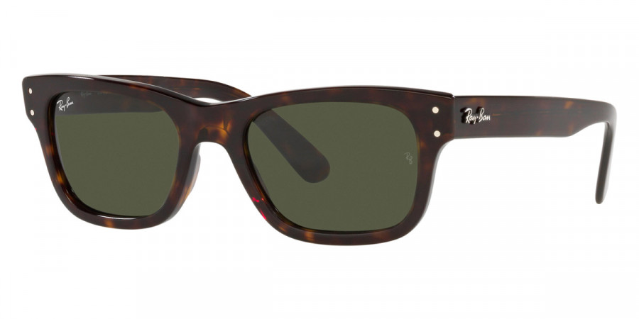 Ray-Ban™ - Mr Burbank RB2283