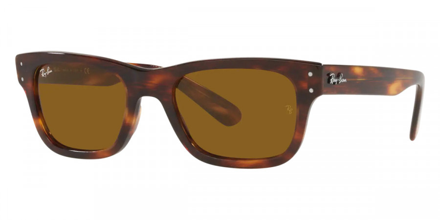 Ray-Ban™ - Mr Burbank RB2283