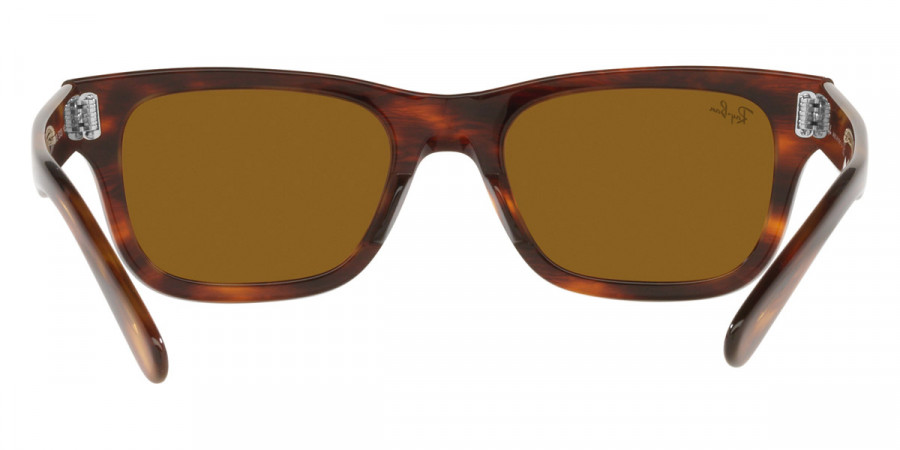 Ray-Ban™ - Mr Burbank RB2283