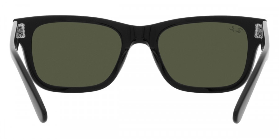 Color: Black (901/31) - Ray-Ban RB2283F901/3155