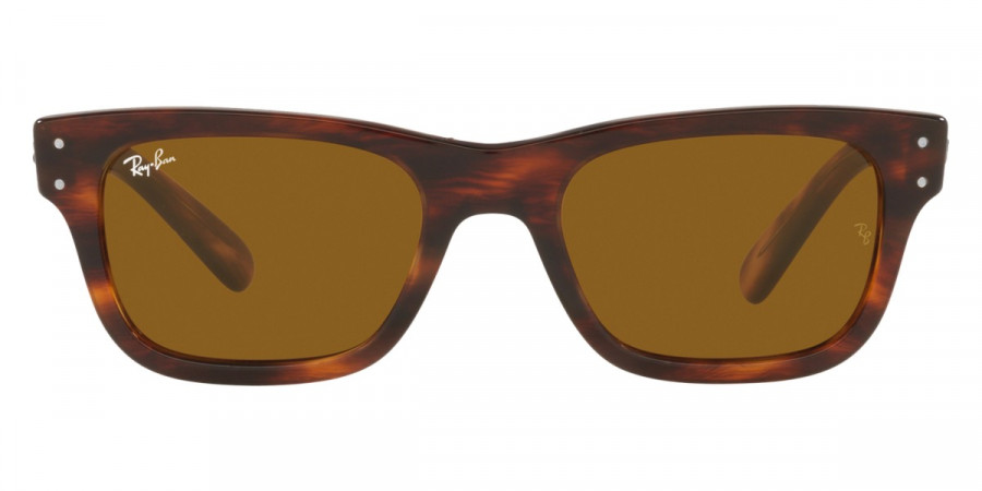 Ray-Ban™ - Mr Burbank RB2283F