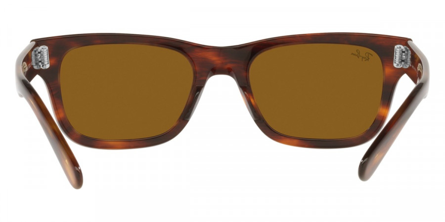 Ray-Ban™ - Mr Burbank RB2283F