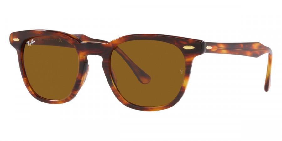 Ray-Ban™ - Hawkeye RB2298