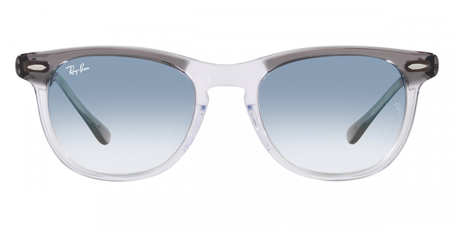 Ray-Ban™ - Eagleeye RB2398