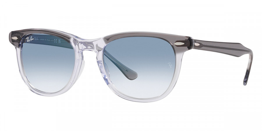 Ray-Ban™ - Eagleeye RB2398