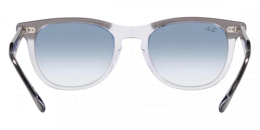 Ray-Ban™ - Eagleeye RB2398