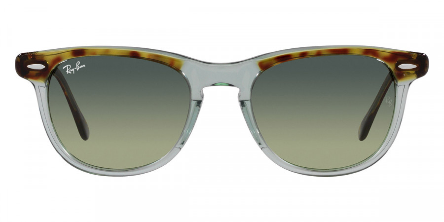 Ray-Ban™ - Eagleeye RB2398