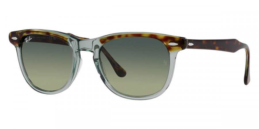 Ray-Ban™ - Eagleeye RB2398