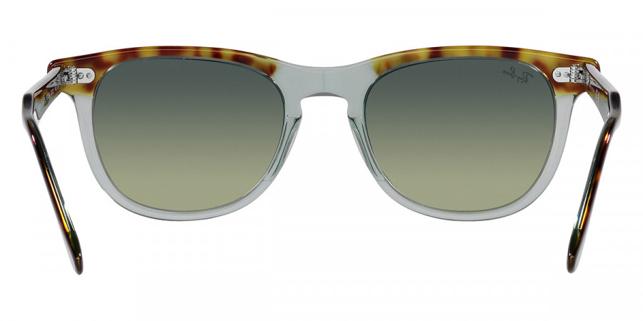 Ray-Ban™ - Eagleeye RB2398