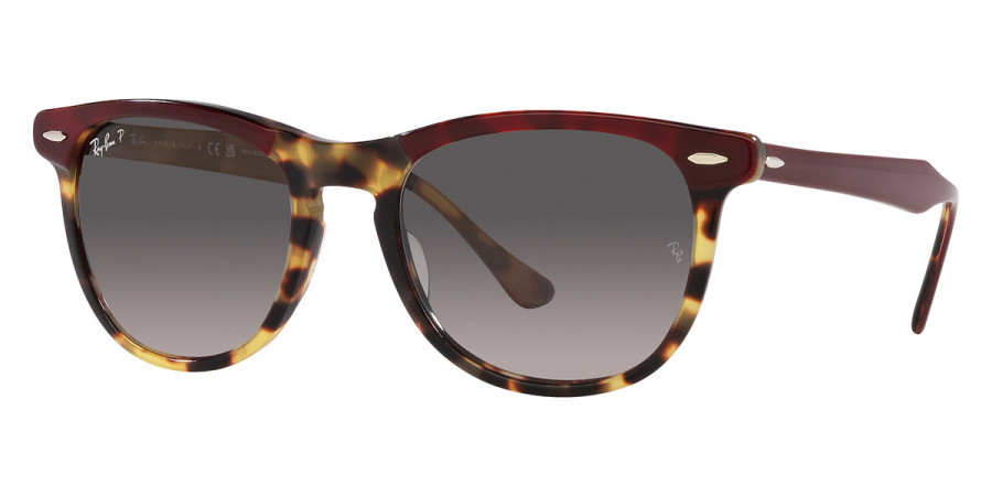 Ray-Ban™ - Eagleeye RB2398