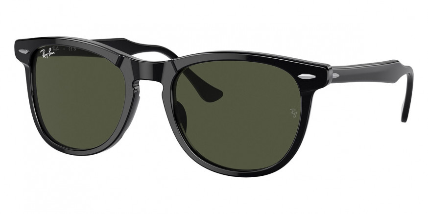 Ray-Ban™ Eagleeye RB2398F 901/31 53 - Black