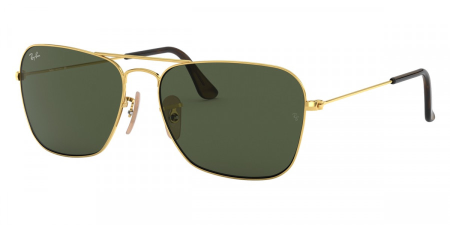 Color: Arista (181) - Ray-Ban RB313618158