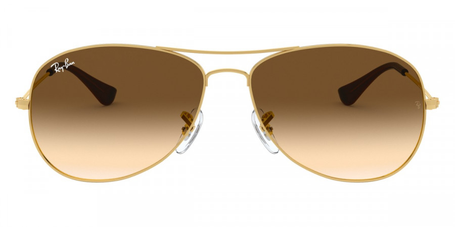 Ray-Ban™ - Cockpit RB3362