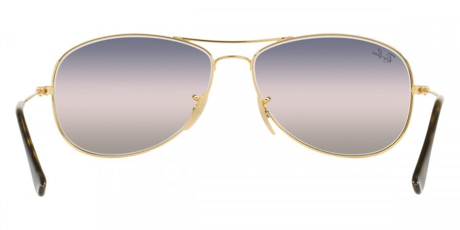 Ray-Ban™ - Cockpit RB3362