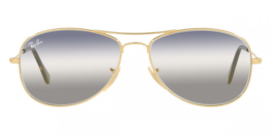 Ray-Ban™ - Cockpit RB3362