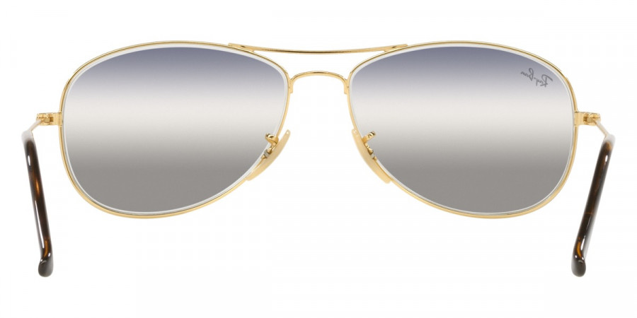 Ray-Ban™ - Cockpit RB3362