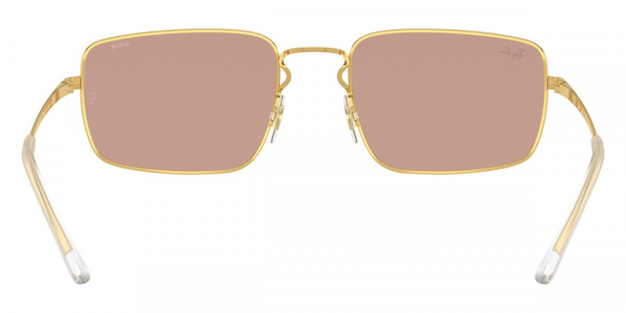 Ray-Ban™ - RB3669