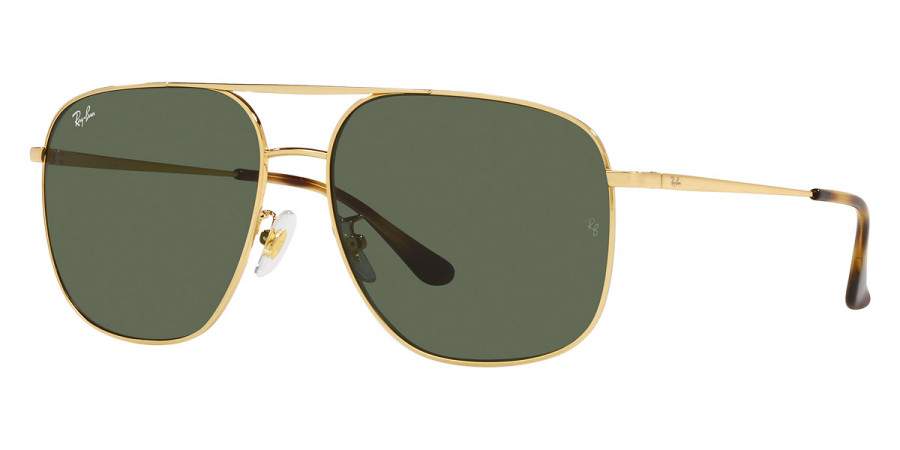 Ray-Ban™ - RB3679D