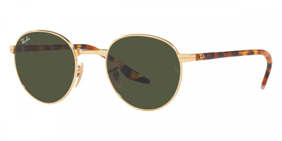 Ray-Ban™ - RB3691