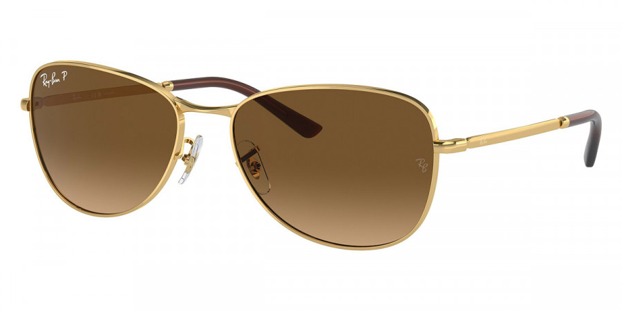 Ray-Ban™ - RB3733