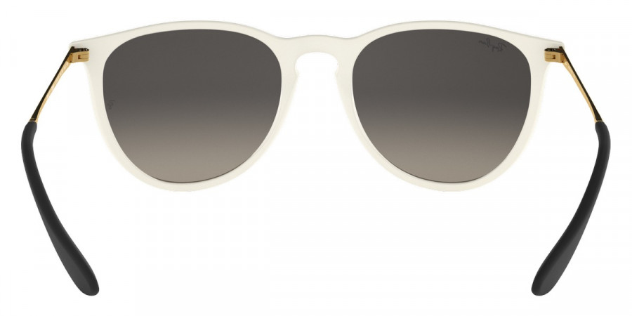 Ray-Ban™ - Erika RB4171