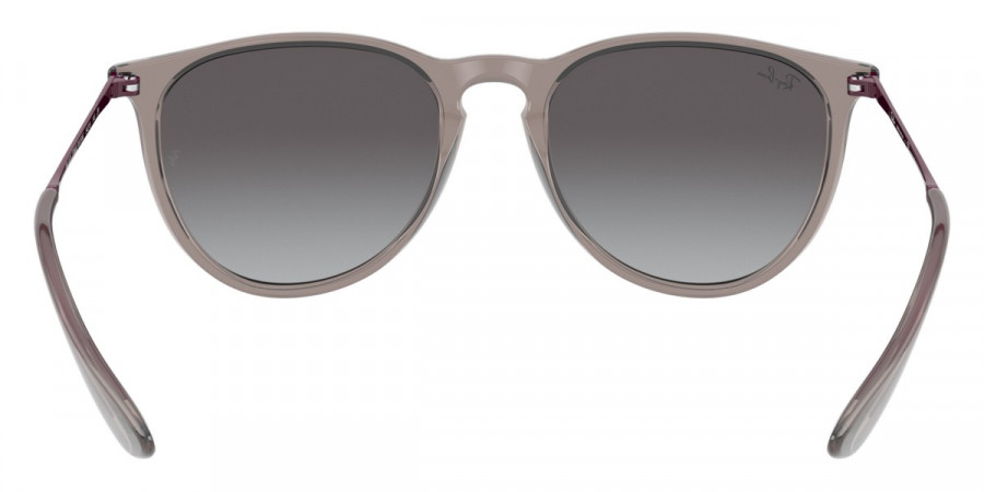 Color: Transparent Gray (65138G) - Ray-Ban RB417165138G54