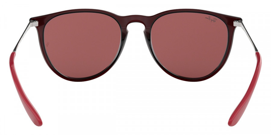 Ray-Ban™ - Erika RB4171F