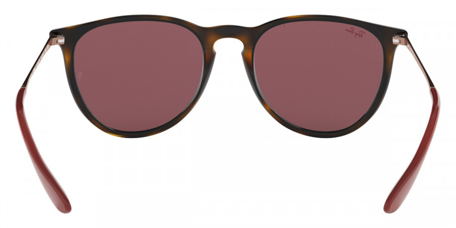 Ray-Ban™ - Erika RB4171F