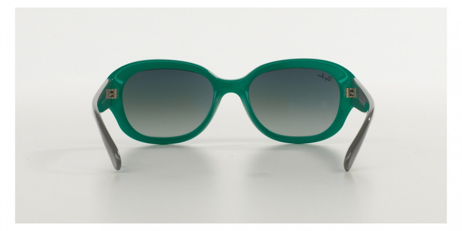 Ray-Ban™ - RB4198