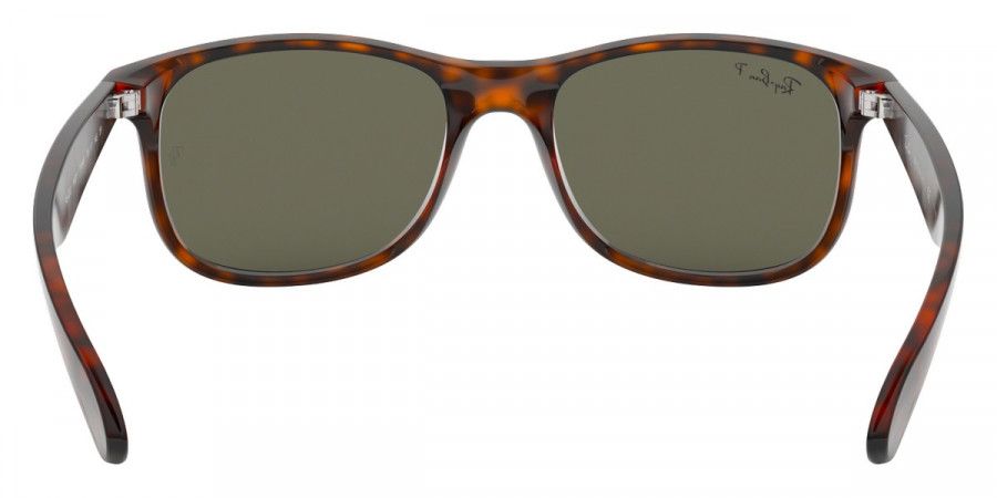 Color: Shiny Havana (710/Y4) - Ray-Ban RB4202710/Y455