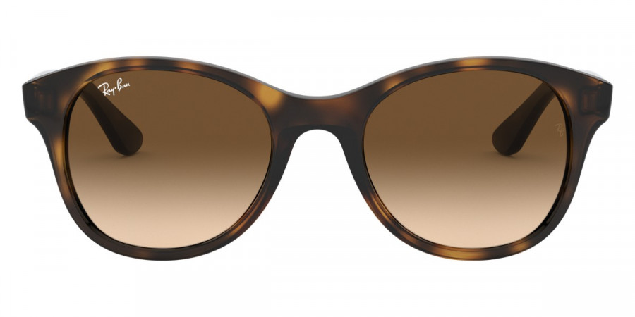 Ray-Ban™ - RB4203