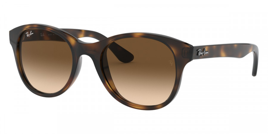 Ray-Ban™ - RB4203