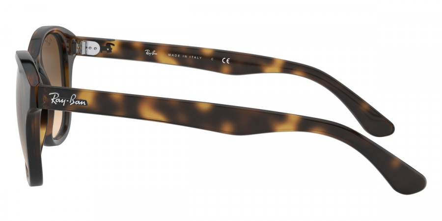 Ray-Ban™ - RB4203