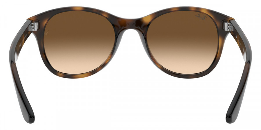 Ray-Ban™ - RB4203